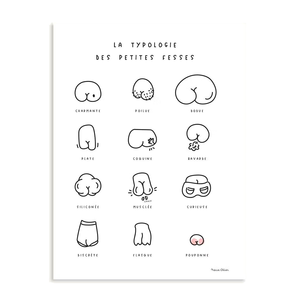 Affiche | La typologie des petites fesses