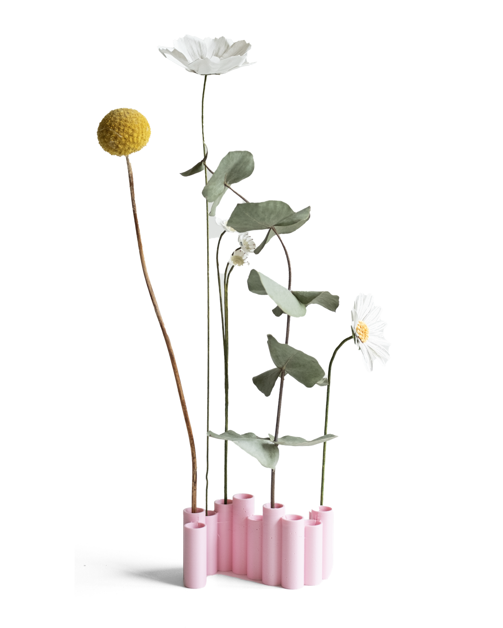 Pique-fleurs séchées | Rose