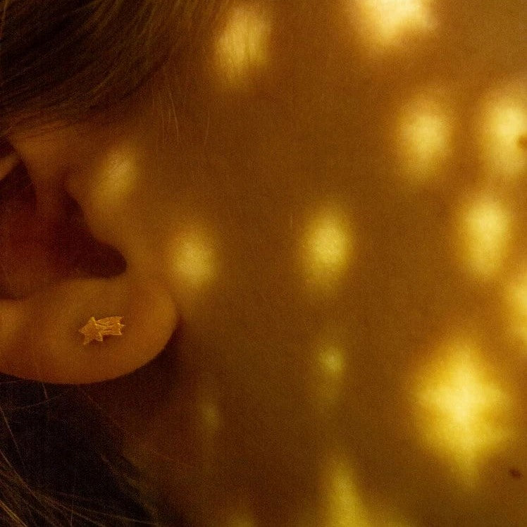 Boucles d'oreilles | Lune étoile filante