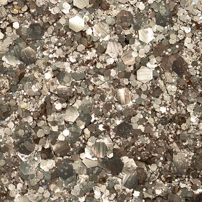 Paillettes | NarSiSique