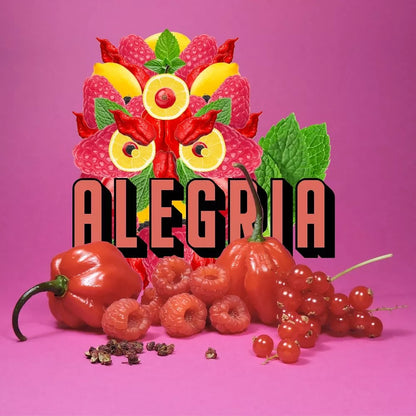 Hot sauce | Alegria 7/8 