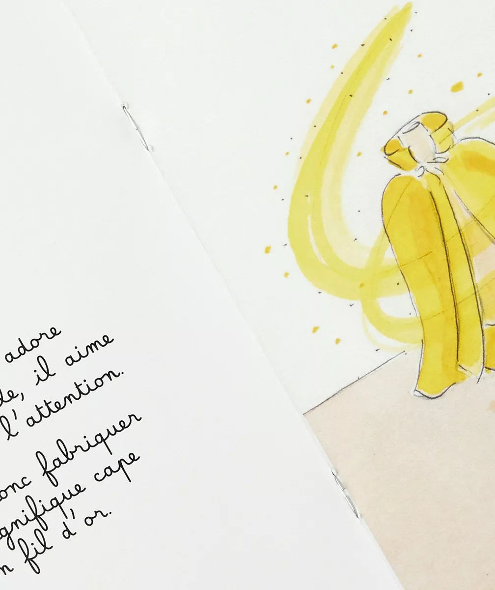Livre | Le Petit Lion