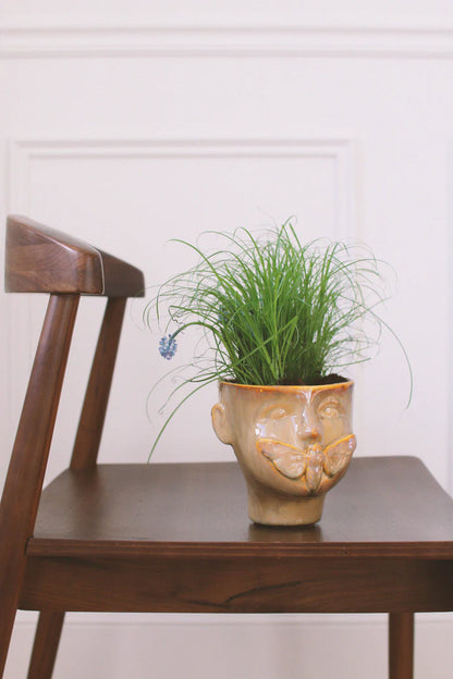 Cache-pot | Apollon Ambre