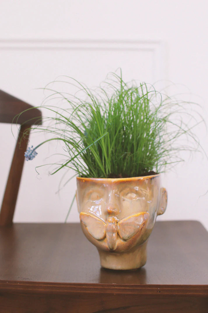 Cache-pot | Apollon Ambre