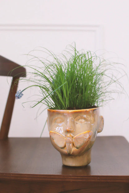 Cache-pot | Apollon Ambre