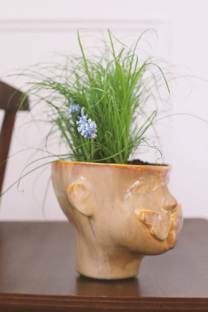 Cache-pot | Apollon Ambre