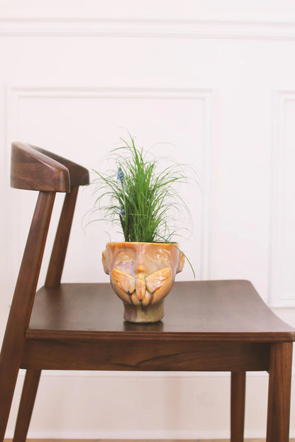 Cache-pot | Apollon Ambre