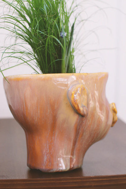 Cache-pot | Apollon Ambre
