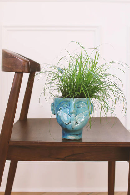 Cache-pot | Apollon Bleu Tena