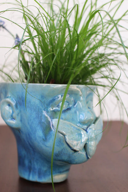 Cache-pot | Apollon Bleu Tena