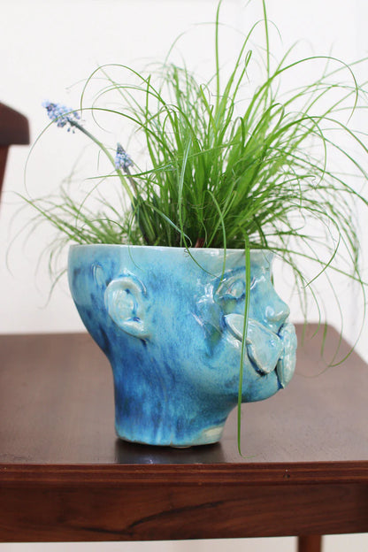 Cache-pot | Apollon Bleu Tena