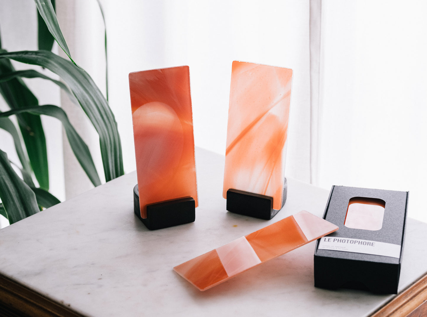 Le Photophore | Fusion