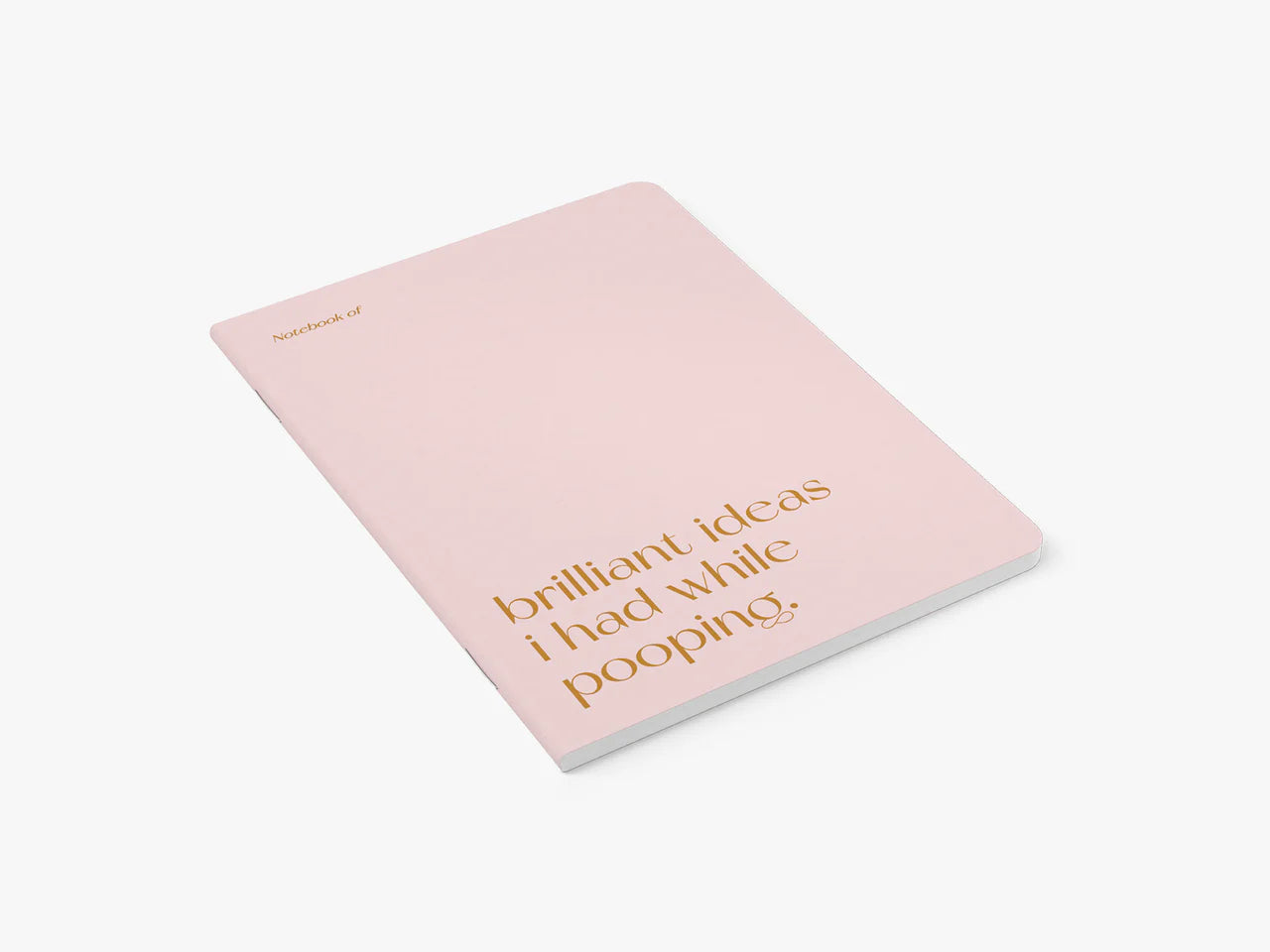 Notebook A5 | Brilliant pooping