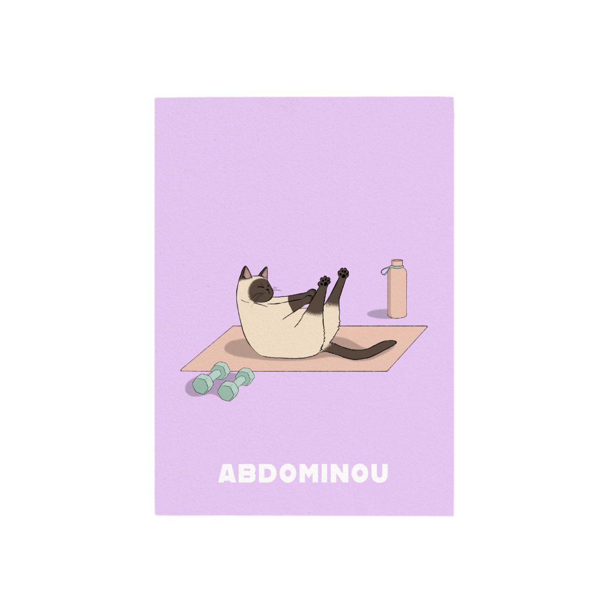 affiche abdominou chat sport