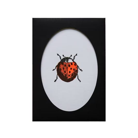 Letterpress card | Ladybug