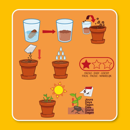 Planting kit | My sparkling plant