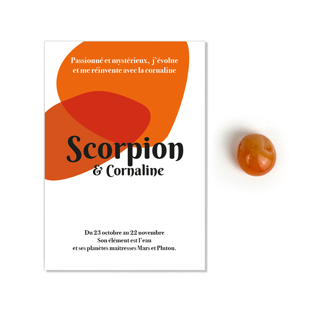Pierre astro | Scorpion - Cornaline