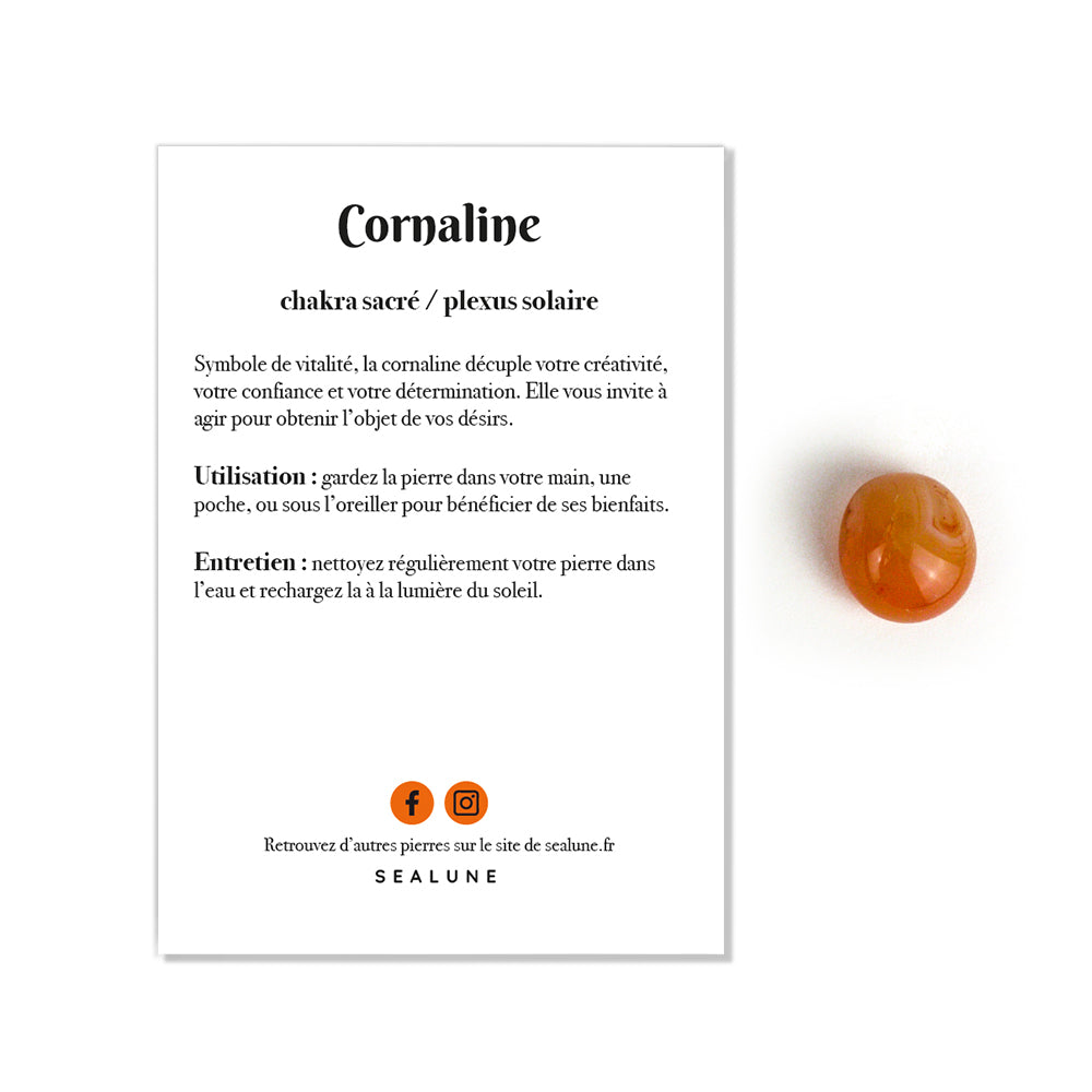 Pierre astro | Scorpion - Cornaline