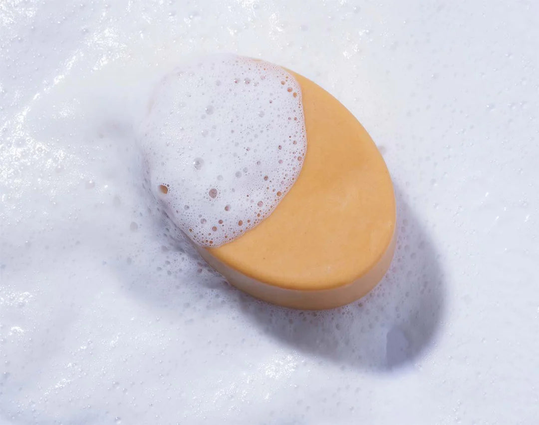 Shampoing solide | Cheveux secs