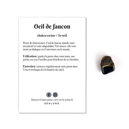 Pierre astro | Verseau - Oeil de faucon