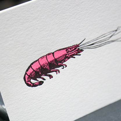 Letterpress card | Shrimp