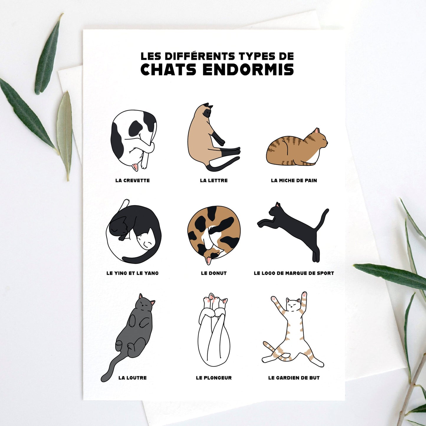 Affiche | Chats endormis