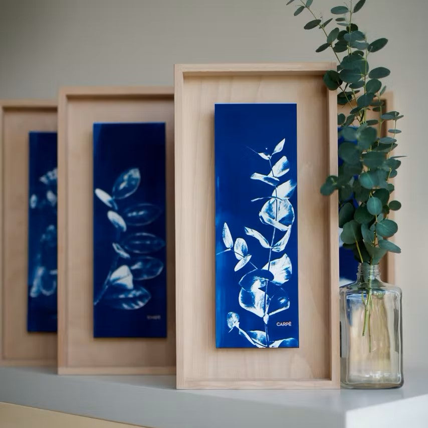 Cadre cyanotype | Fittonia