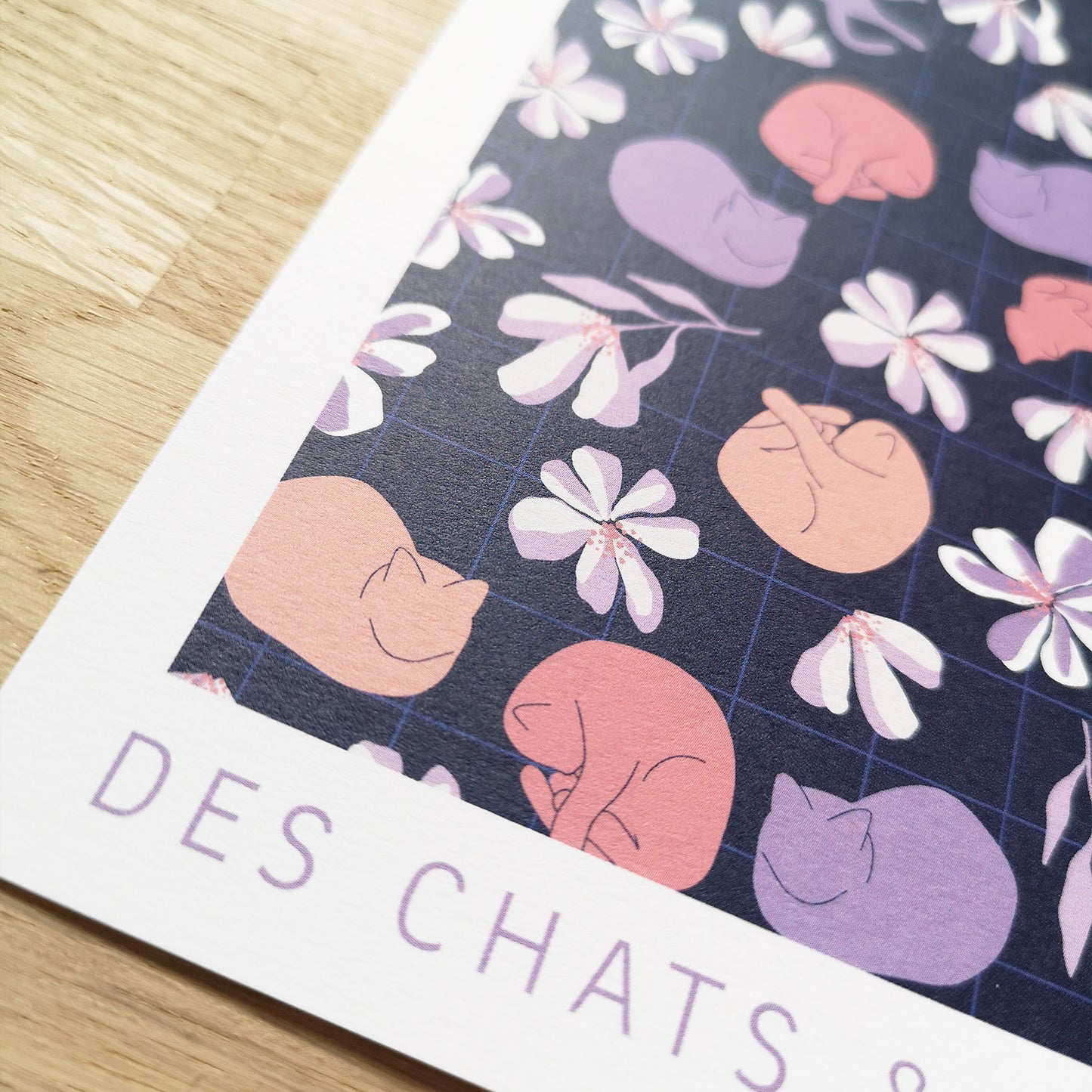 Affiche | Des chats & des fleurs