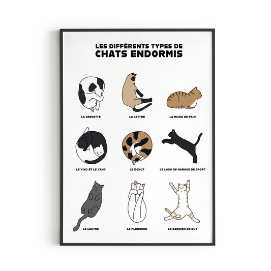 Affiche | Chats endormis