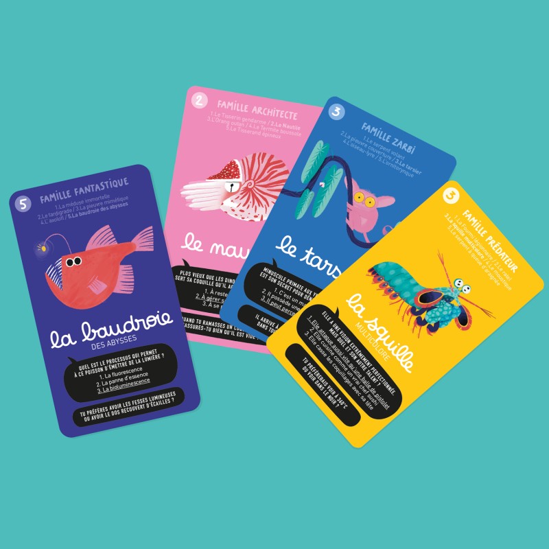 Jeu de 7 familles | Super bestioles
